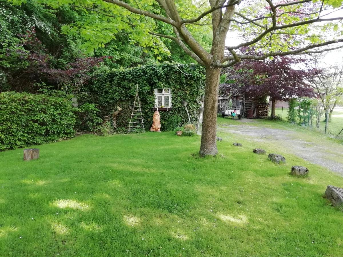 Ferienwohnung Zur Muhle Olsberg Exterior photo